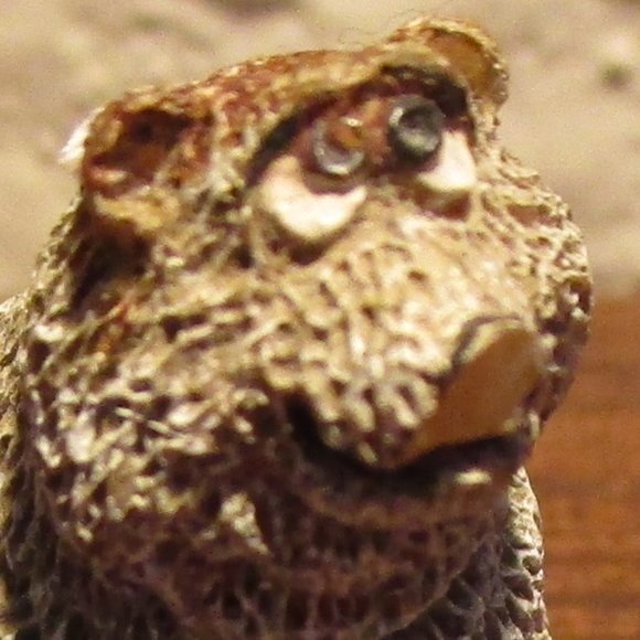 Set #2 of Eight  Miniature Bear Figurines - Picture 6 of 16